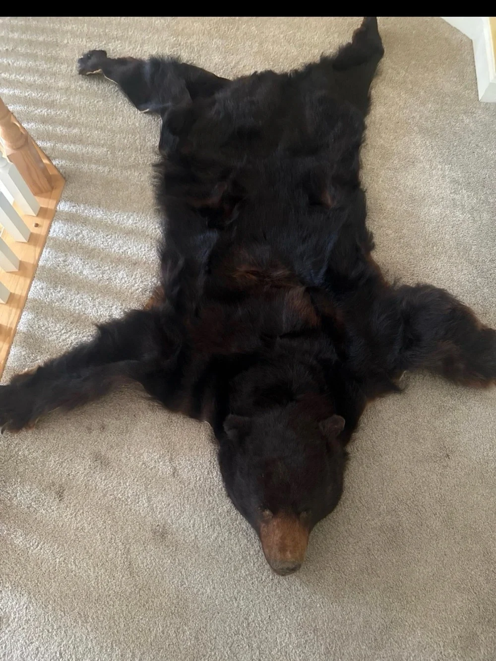 Black Bear Hide Wall Accent - Black Faux Fur Rug